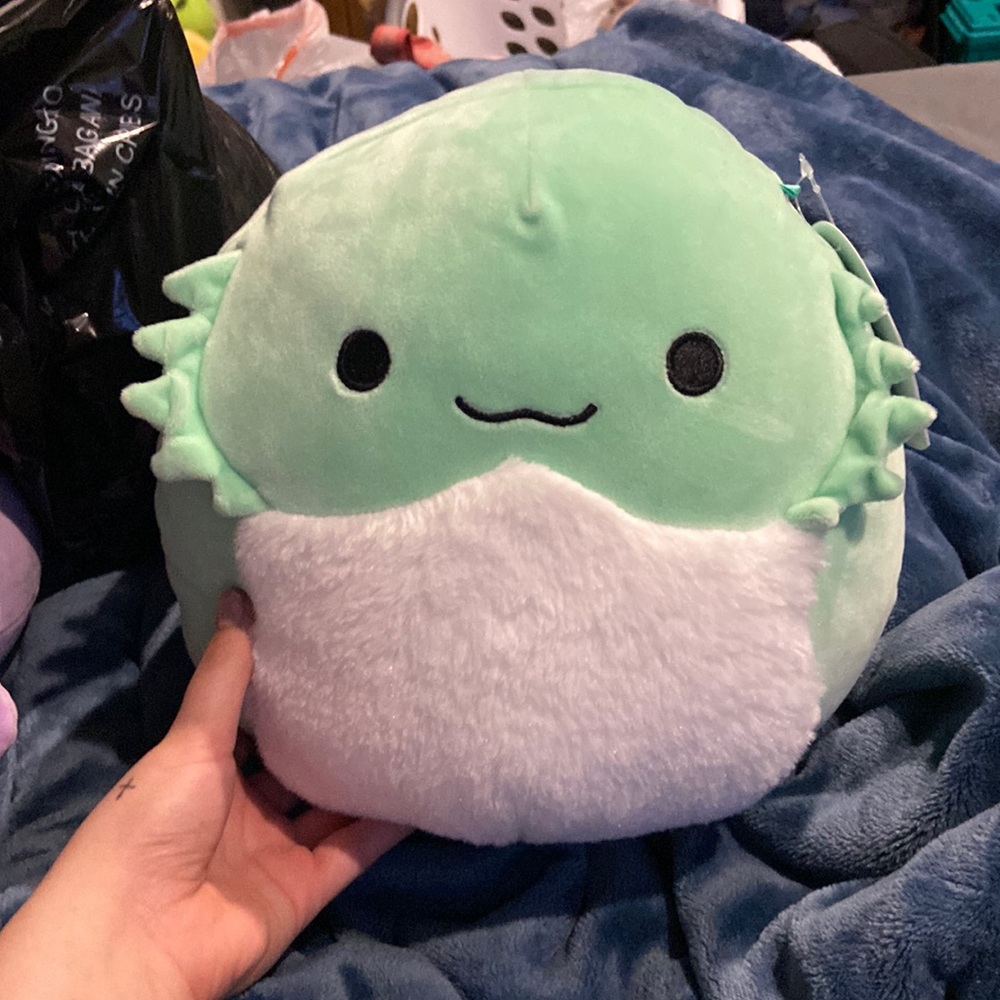 bearded dragon squishmallow